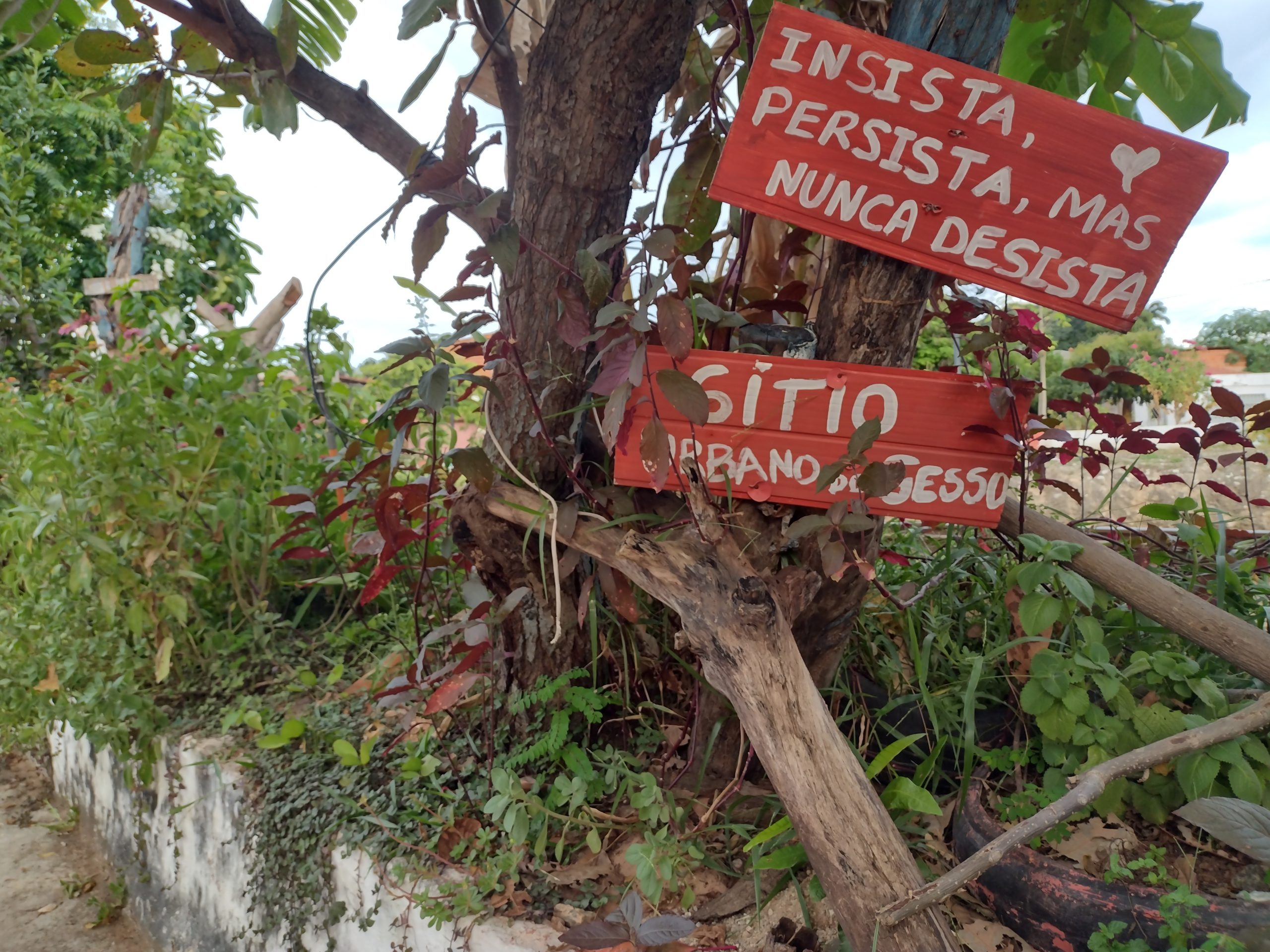 Sítio Urbano do Gesso é exemplo para cidade